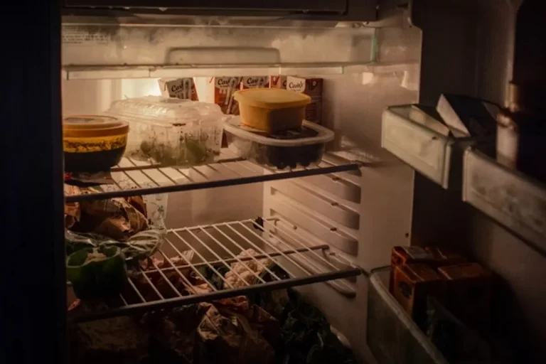 อันตรายจากอาหารแช่ตู้เย็น ที่คุณไม่ควรมองข้าม