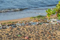 ไมโครพลาสติกส่งผลเสียและเป็นอันตรายต่อร่างกายของเราอย่างไรบ้าง